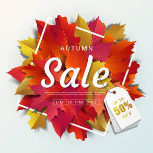 秋季销售横幅布局模板现代设计装饰与枫树和现实叶购物销售或促销海报传单和网页横幅。 矢量图。