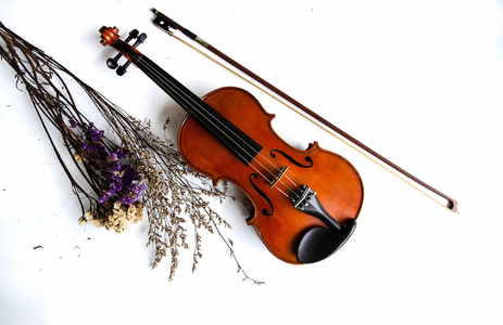 经典的小提琴和蝴蝶结放在干燥的花束旁边，白色背景。