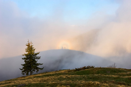光学错觉布罗肯光谱在草地上最高的山脉之间的晨雾和蓝天。地点喀尔巴阡山脉国家公园，乌克兰，欧洲。