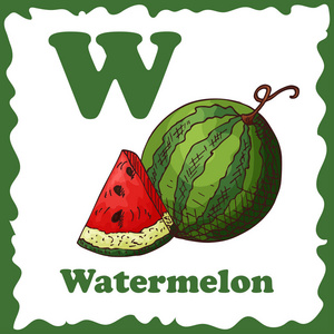 西瓜加粗向量图片