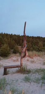这条长凳是用波罗的海海滩上的树做的
