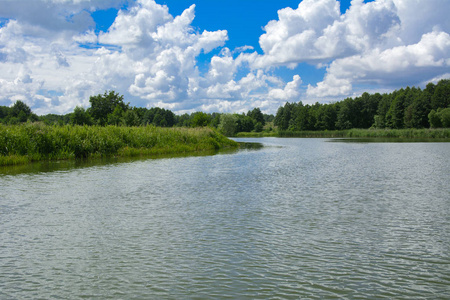 水上景观一个美丽的景观形象,从河的中心,周围的树木和芦苇在海岸和