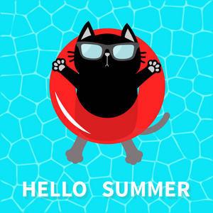 你好夏天。 游泳池的水。 黑猫漂浮在红池上浮水圈。 顶部的空中景观。 太阳镜。 救生圈。 可爱的卡通放松人物。 平面设计。 向量