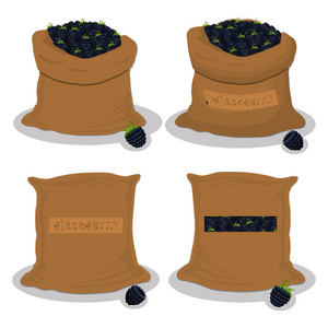 矢量插图袋填充黑色浆果黑莓储存在麻袋。 黑莓模式，由成熟的食品原料在开放的袋子上组成。 美味的黑莓从生态袋，满满的袋袋