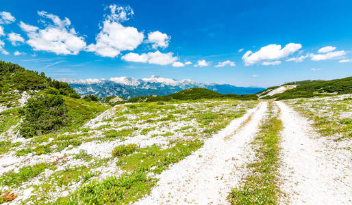 沃格尔附近斯洛文尼亚山脉的旅游路径。 山顶的小径绿草压着蓝天。 在欧洲徒步旅行。 特里格拉夫国家公园朱利安阿尔卑斯山