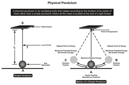 物理摆下形图，显示其部分和运动，包括刚性支撑螺纹，悬挂点，极限和平衡位置，物理科学教育的最大动能