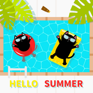 你好夏天。游泳池。黑猫漂浮在黄色的水池上浮水床垫和红色的圆圈。最高的视野。太阳镜。救生圈。棕榈树叶。可爱的卡通人物。平面设计。矢