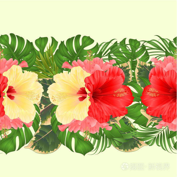 花缘无缝背景与热带花卉美丽的黄色，粉红色和红色芙蓉棕榈和榕树复古矢量插图设计菜肴贺卡服装