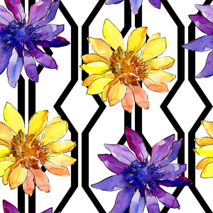 水彩彩色非洲雏菊花。 花卉植物花。 无缝背景图案。 织物壁纸印花纹理。 背景纹理包装图案的水花。