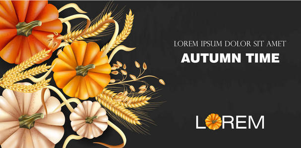秋季时间横幅与南瓜和小麦穗矢量现实。