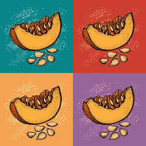 手工绘制的物体与切片南瓜和种子. 蔬菜涂鸦风格的插图.