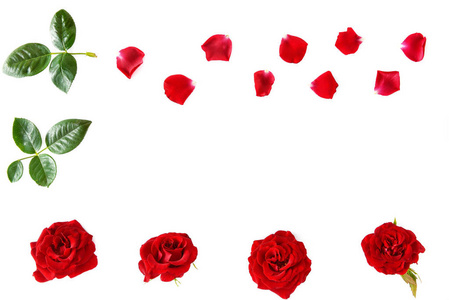 花的组成。 白色背景上分离的红色玫瑰。 平躺顶部视图。 免费的文本空间。