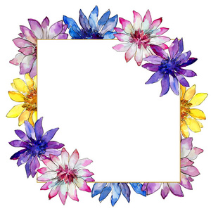 五颜六色的非洲菊花。植物花。框架边框点缀广场..背景纹理包装图案框架或边框的野花。
