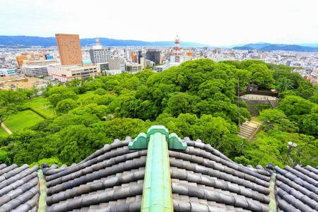 日本武山县武山市的武山位于九河口。