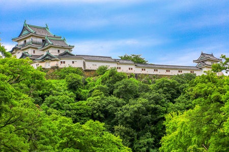 日本武山县武山市的武山位于九河口。