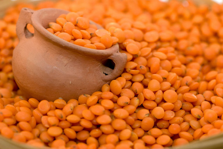 关闭小橙色扁豆照片