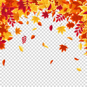 秋天落叶。自然背景与红色, 橙色, 黄色叶子。飞叶。季节销售。矢量插图
