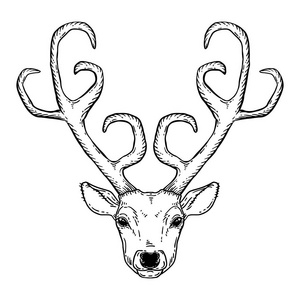 鄂温克驯鹿部落图片