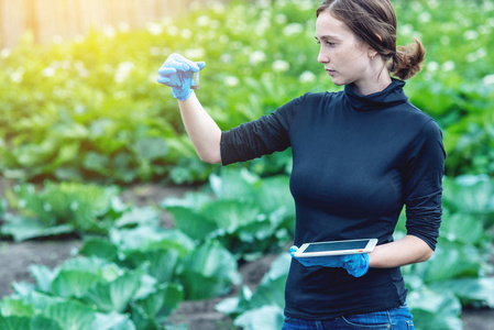 一个年轻的农学家,漂亮的女人,拿着一个土壤样本和一药片.