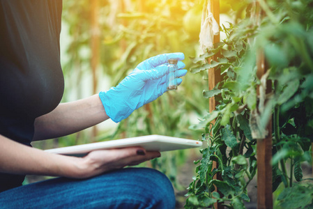 概念环保农场生产没有硝酸盐.照片