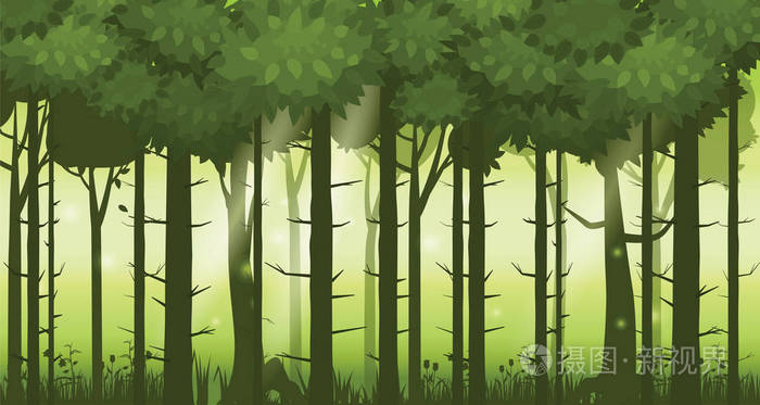 明亮的森林森林, silhouttes, 树木与灌木, 蕨类植物和花卉.