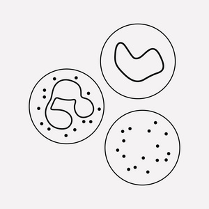 为您的 web 移动应用程序徽标设计而在干净的背景上隔离白细胞图标线