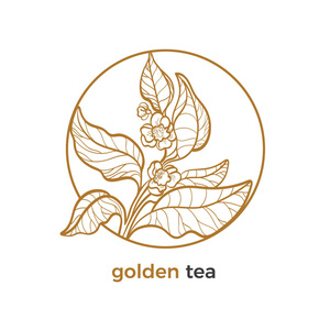 茶树枝条标志矢量贴纸,叶花植物艺术线圆形写实植物圆形框架生态热带