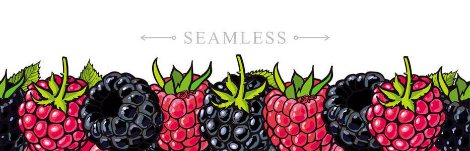 树莓和黑莓边界无缝模式与新鲜成熟的浆果和绿叶的素描风格