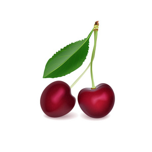 樱桃现实三维矢量插图。 成熟的红色樱桃浆果和叶子。 详细的3D插图隔离在白色上。 网页或打印包装的设计元素。