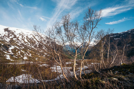 盖朗格峡湾景观挪威