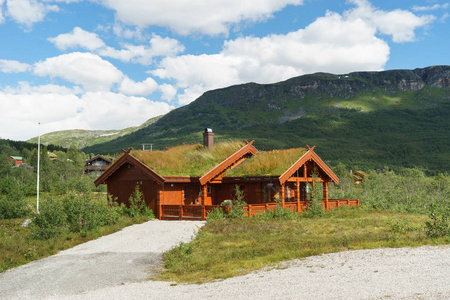 挪威传统的木屋，屋顶上有草，靠近挪威的弗林斯福森。