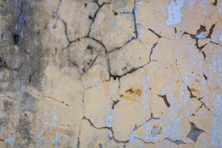 霉菌真菌纹理细节成型内部老墙充满真菌潮湿发霉抽象背景。 脏房子真菌和花序霉菌膜孢子回家。 模具特写