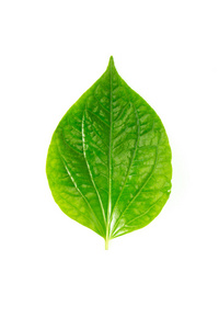 又称垂盆草图片