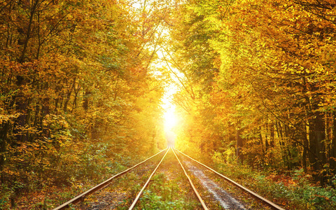 秋天的彩树下废弃的铁路隧道金色的树叶飘落下来