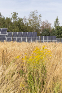 夏季景观太阳能电站图片