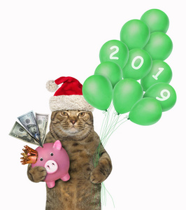 戴着圣诞老人帽子的猫拿着一个储蓄罐，里面有美元和圣诞气球。白色背景。
