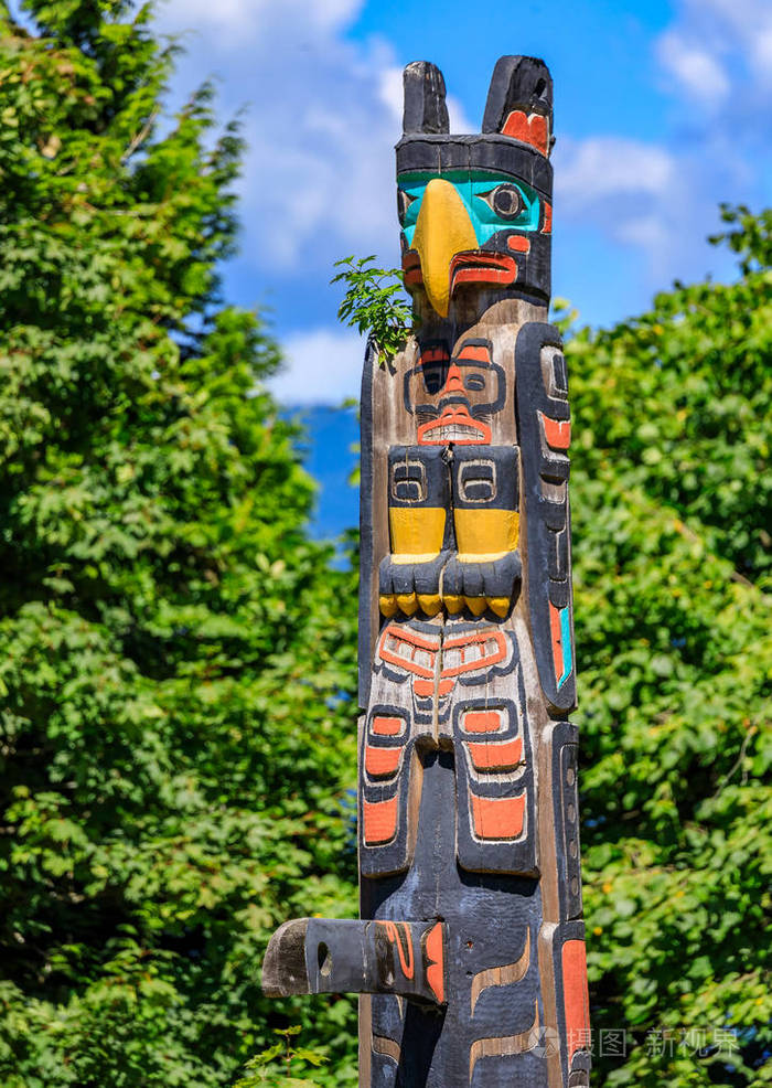 加拿大温哥华斯坦利公园布罗克顿点的第一民族美洲印第安人图腾柱