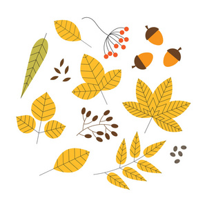 五颜六色的秋叶被孤立在白色的背景上。 平的风格。 矢量插图