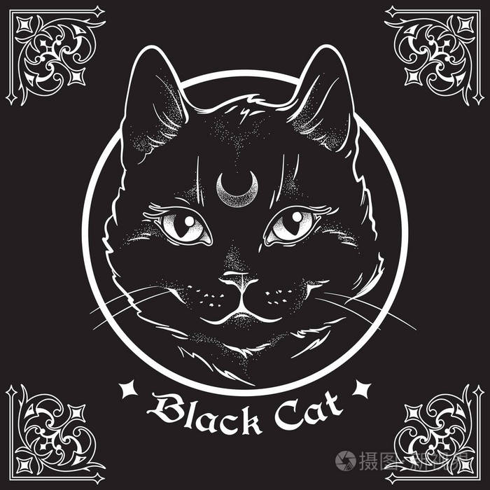 手绘黑猫 额头上有月亮 在黑色背景和华丽的哥特式设计元素的框架内 巫术崇拜者 巫术崇拜者插画 正版商用图片12j7dl 摄图新视界 手绘黑猫 额头上有月亮 在黑色背景和华丽的哥特式设计元素的框架内 巫术崇拜者 巫术崇拜者插画 正版商用图片12j7dl 摄图新视界