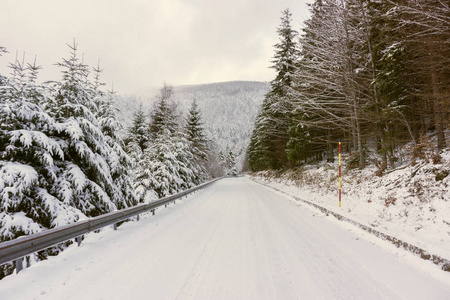 2017年11月初冬季，沃什山脉法国的一条雪道。