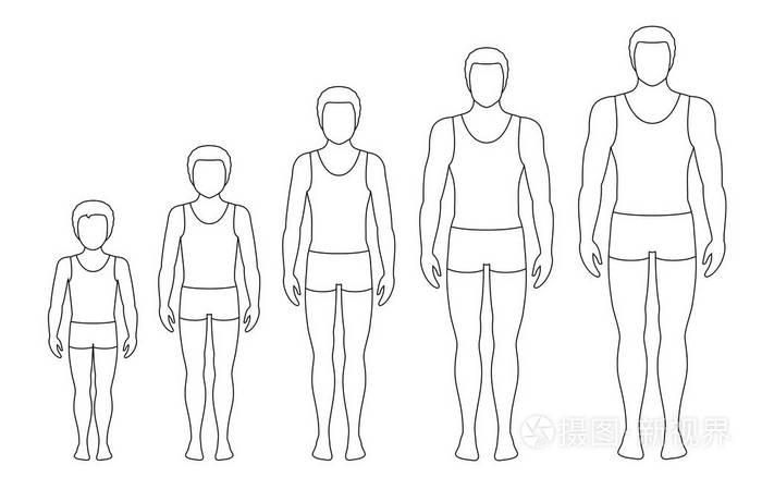 人的身体比例随年龄而变化男孩的身体发育阶段矢量轮廓图老龄化概念
