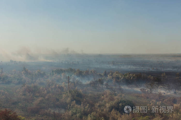 森林大火。野火污染和大量烟雾后烧毁的树木