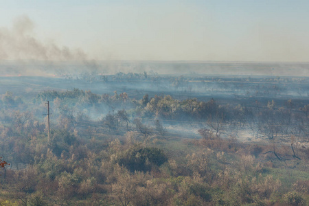 森林大火。野火污染和大量烟雾后烧毁的树木