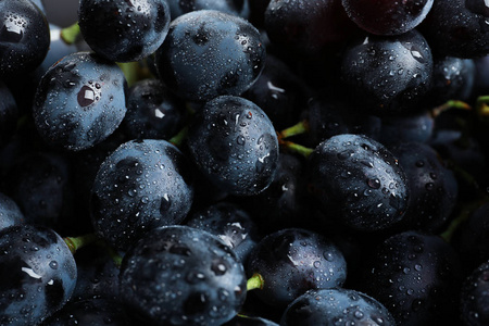 一串新鲜成熟多汁的葡萄作为背景。特写视图