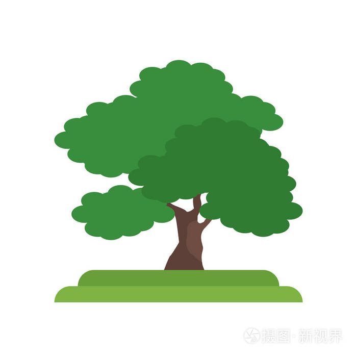 黑核桃树图标矢量符号和符号被隔离在白色