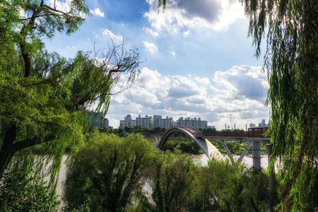 Seonyudo桥从公园观看，周围的公园树木和植物作为框架。 韩国首尔