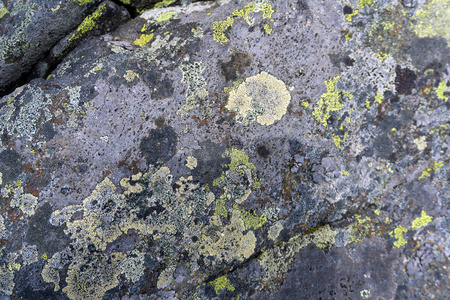 背景纹理一块天然花岗岩巨石的表面，有五颜六色的地衣斑点