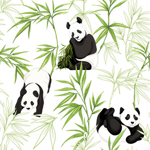 熊猫和竹子动图图片