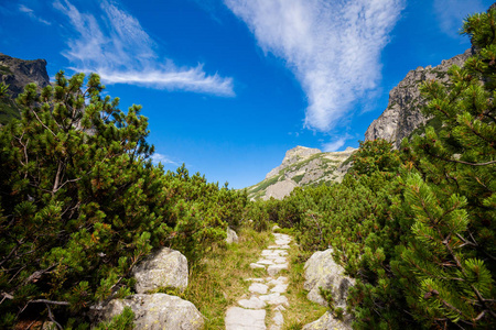 美丽的维尔卡斯图纳多利纳在斯洛伐克高塔特拉山。 美丽的夏季全景从斯塔里烟道经赫雷比诺克到兹博伊尼卡查塔