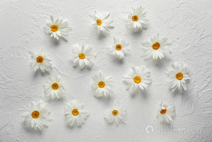 白色背景上美丽的花照片 正版商用图片12jzov 摄图新视界